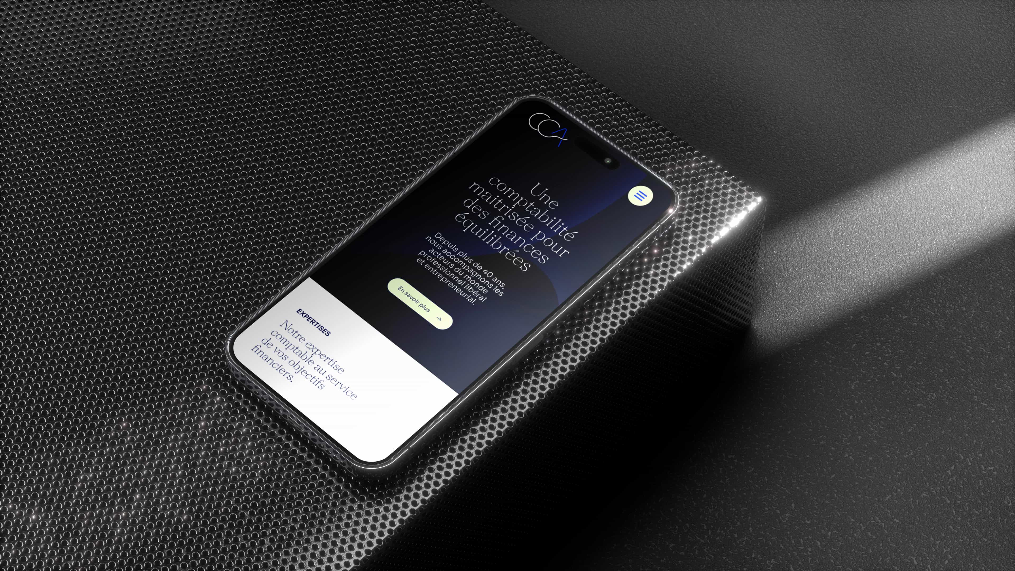 Project screenshot 1