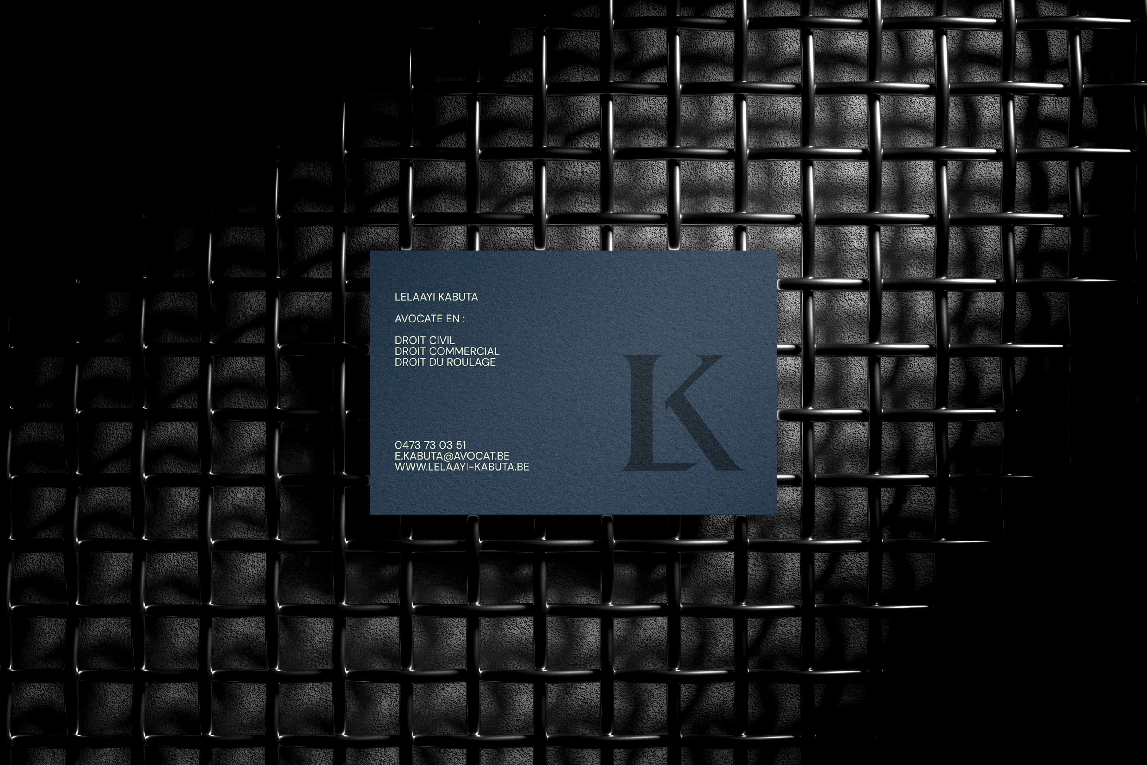 Project screenshot 2