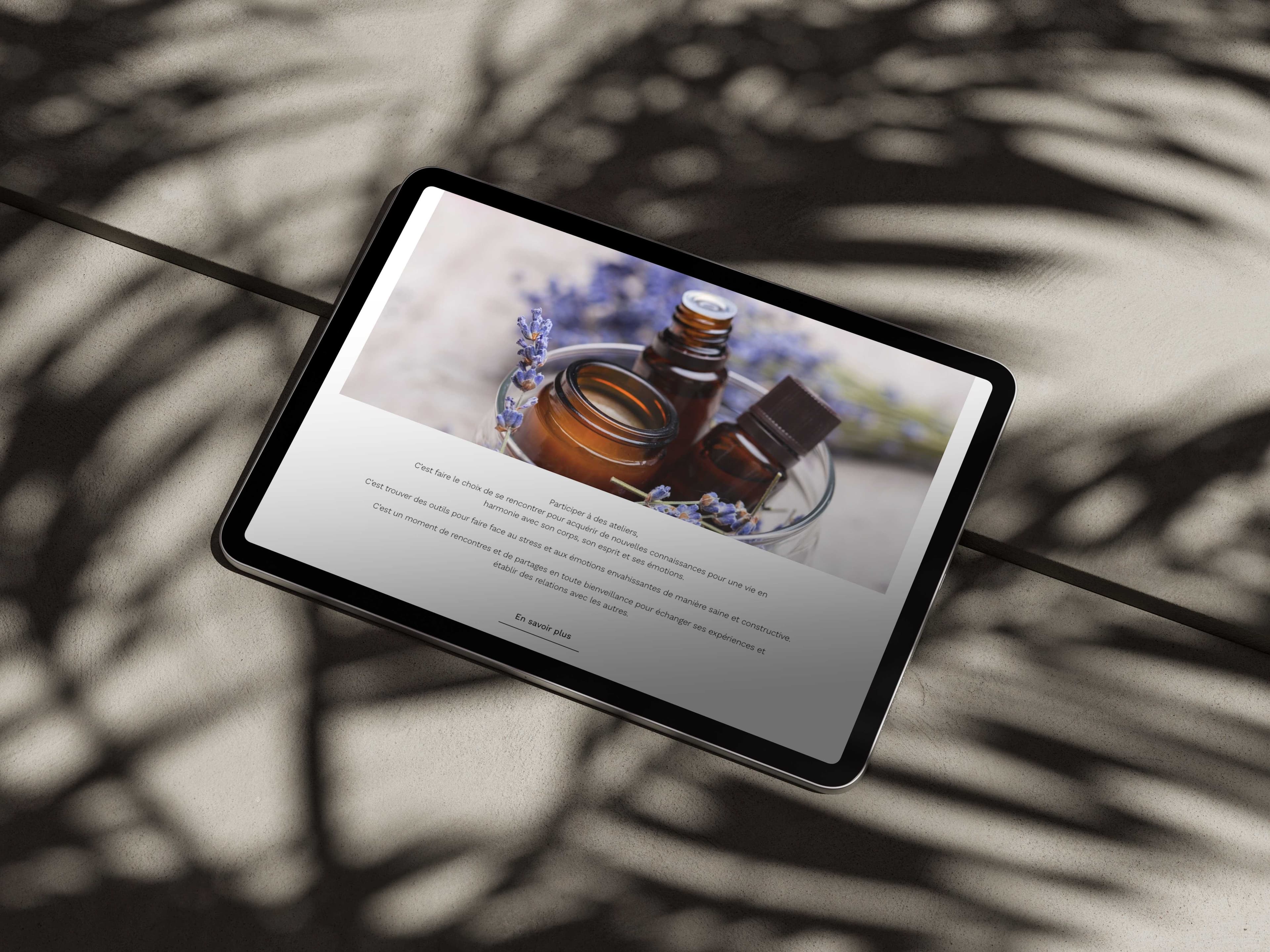 Project screenshot 2